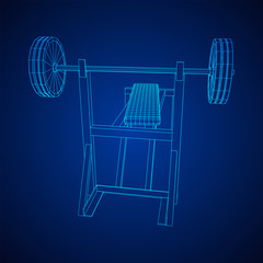 Barbell with weights. Gym equipment
