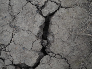 multiple cracks in a dry mud path 