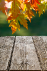 Naklejka na ściany i meble Wooden background and autumn maple leaves.
