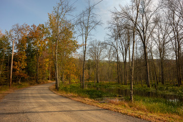 Autumn Country Road
