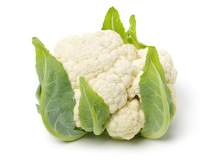 Fresh cauliflower on white background 