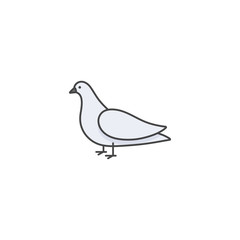 Vector linear icon design dove bird on white background. Pigeon colorful emblems or badges.