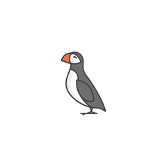 Vector linear icon design puffin bird on white background. Puffin colorful emblems or badges.