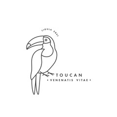 Vector linear logo design toucan bird on white background. Toucan emblems or badges. © oxygen_8