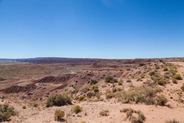 Fototapeta na wymiar paisaje del desierto de Arizona