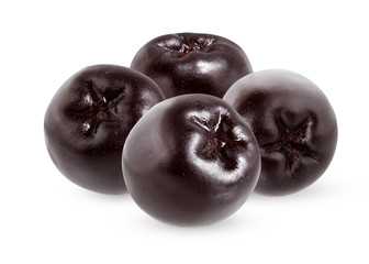 black chokeberry isolated on white
