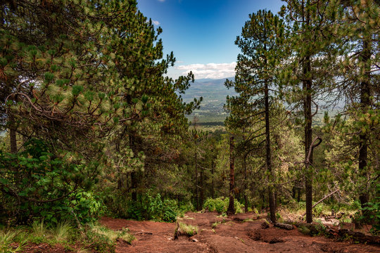 Vista de Volcan la malinche