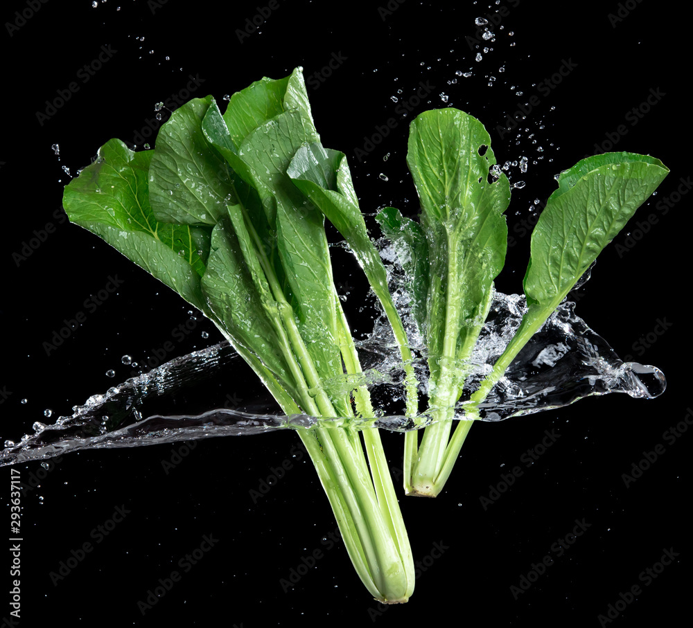 Canvas Prints fresh bok choy vegetable with water splash float in the air