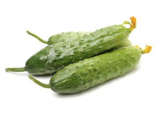 Green cucumber on the white background