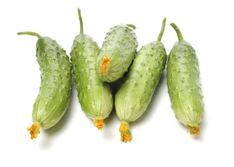 Green cucumber on the white background