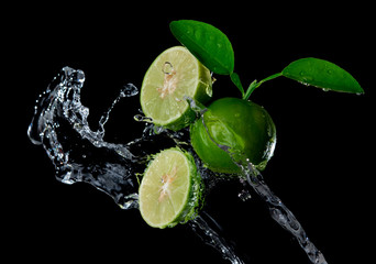 Fresh lime with water splash flying in the air isolated on black background