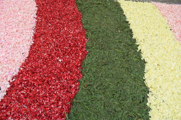 Detail Floral carpet, festivity of corpus christ religious, street flower celebration in Sitges, Spain.