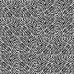 Seamless zebra fur pattern 