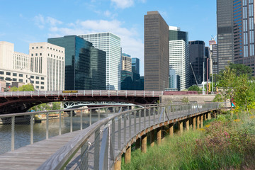 Fototapeta premium The Riverwalk along the South Branch of the Chicago River in Downtown Chicago with Skyscrapers