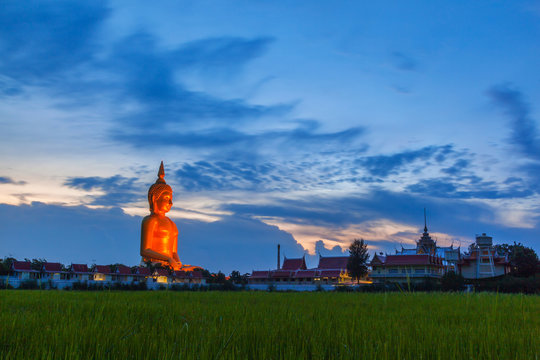 Green rice paddy field with biggest buddha image at suset twilight