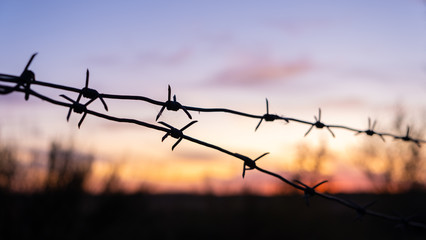 Black silhouette of barbed wire against the bright sunset.