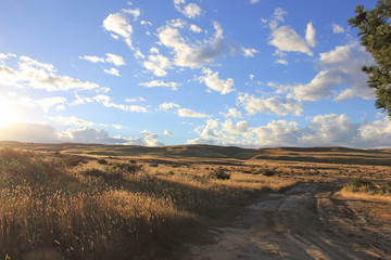 the sun is low over the grassland near lake alexandrina