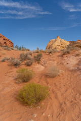 USA Westen Valley of Fire / Grand Canyon