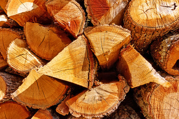 Firewood -  butt-ends of chopped wood logs