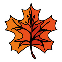 Autumn leaf vector design icon