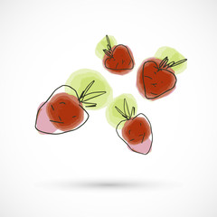 hand drawn watercolor style fruit set paint ink sketch illustration