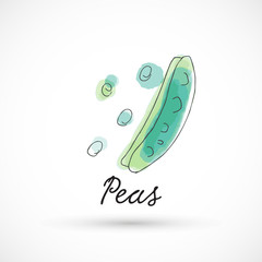 hand drawn watercolor style fruit set paint ink sketch illustration