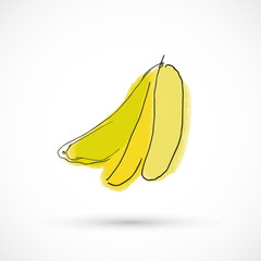 hand drawn watercolor style fruit set paint ink sketch illustration