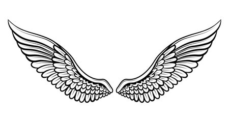 Obraz premium set of wings