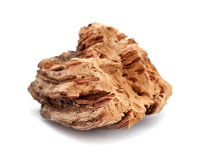 flora of Gran Canaria - bark  of Quercus suber