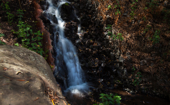 Gran Canaria, Barranco de los Cernicalo ravine, small stream