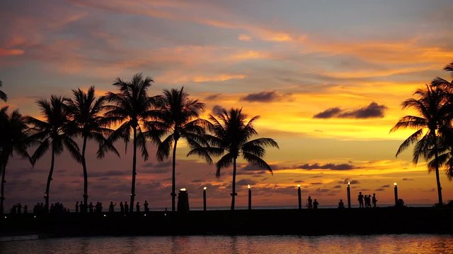Silhouettes of people and coconut tree during sunset in Kota Kinabalu, Sabah Borneo, Malaysia.