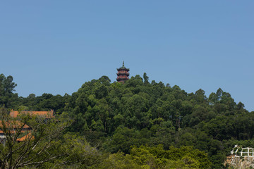 The top of the Chinese pagoda can be seen from the trees