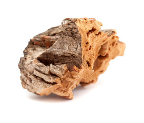 flora of Gran Canaria - bark  of Quercus suber