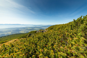 View of the Tatra Mountains from Babia Gora in the Zywiec Beskids