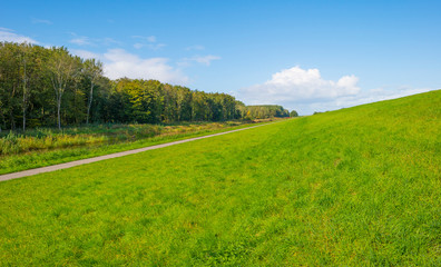 Green dike in a rural area below a blue cloudy sky in sunlight at fall 