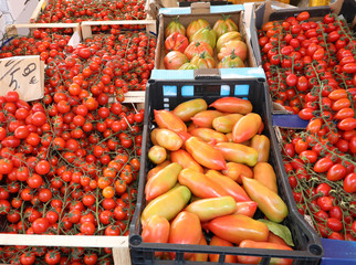 boxes of red tomatoes