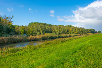 Obraz premium Canal along a green dike in a rural area below a blue cloudy sky in sunlight at fall 