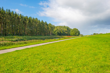 Green dike in a rural area below a blue cloudy sky in sunlight at fall 