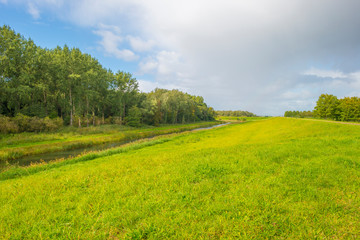 Green dike in a rural area below a blue cloudy sky in sunlight at fall 