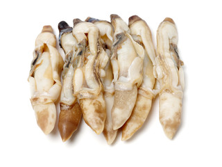 Razor clams isolated on white background.