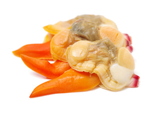 clam meat on white background 