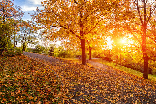 Autumn in Prague, beautiful sunny park on Vitkov hill, Zizkov district, Czech Republic, travel background
