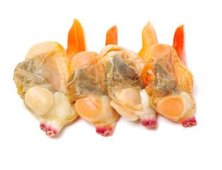 clam meat on white background 