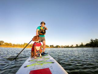 stand up paddling with a pitbull dog