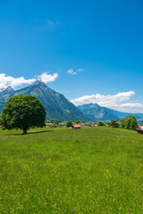 Fototapeta premium Landscape with Mount Niesen in Aeschi