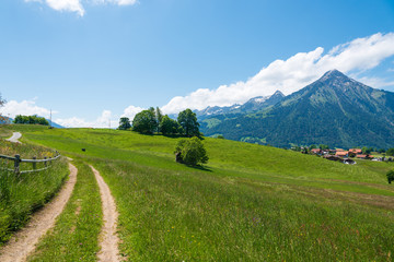 Fototapeta na wymiar Landscape with Mount Niesen in Aeschi