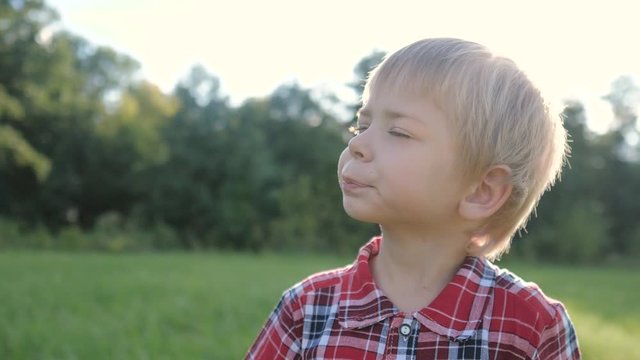 little boy portrait concept happy family. boy blond son looking up portrait slow motion video in nature in a plaid lifestyle shirt sunlight glare happy childhood concept