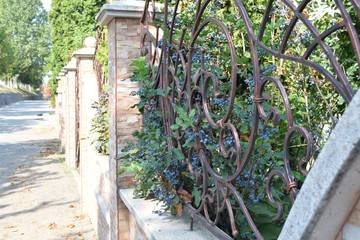 Forged metal fence, Wrought iron ornaments