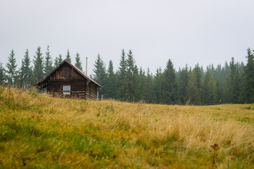 Old house in the mountains. Fog. Dawn. Gicha mountain meadow. Carpathians