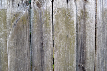 Wood background, Wooden texture